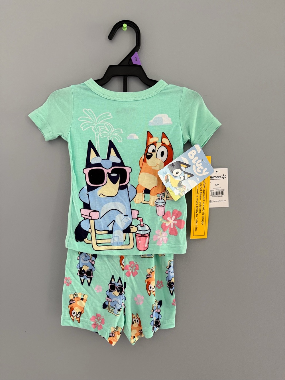 Bluey Mint Green Short Pajama Set with Beach Print